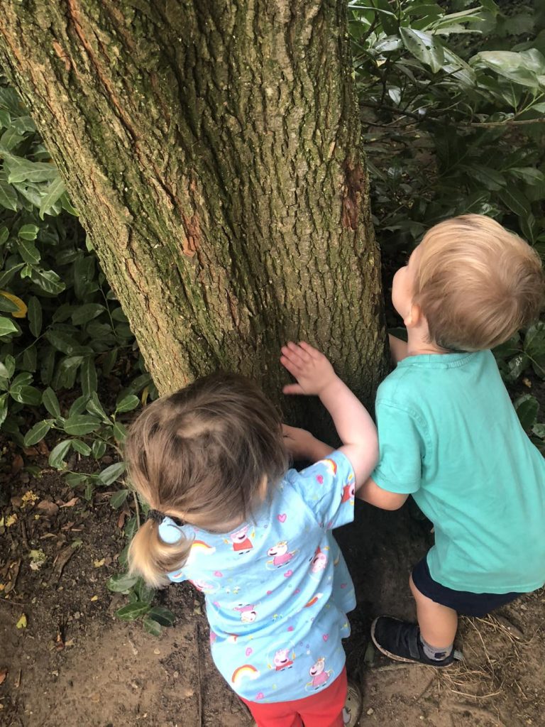 children exploring tree bark